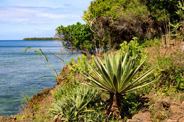 Blick auf die schroffe Küstenlandschaft der schönen Insel Wasini Island.