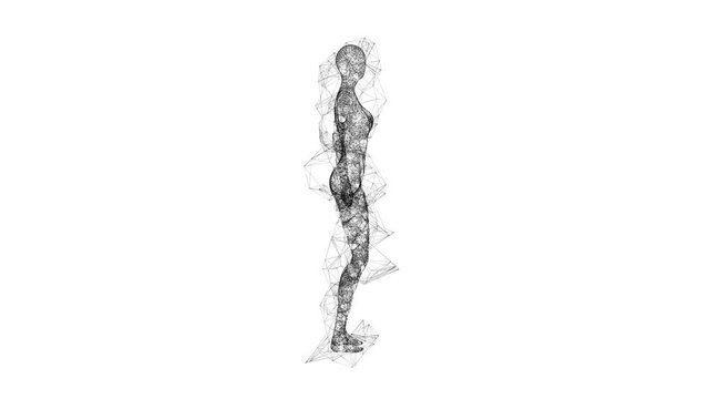 3d female or woman anatomy. Body biology medicine education concept. Wireframe low poly mesh cyberspace grid science and technology Available in 4K FullHD and HD video
