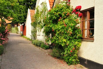 Medieval Hanse town Visby in Sweden