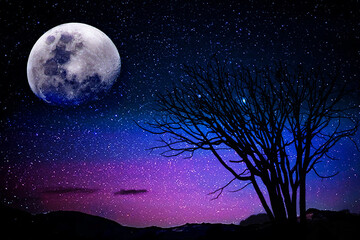 Fototapeta na wymiar full moon over the moon, landscape of moon and silhouette tree 