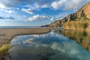 Wild geese on Preveli beach (aka., Palm Beach) at the mouth of the Megas river flowing through a gorgeous palm tree glade, Southern Crete, Greece