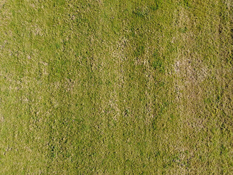 Aerial Top View Of Grassland