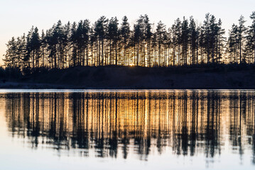Dark silhouette of a forest at sunset with a reflection in the lake.
