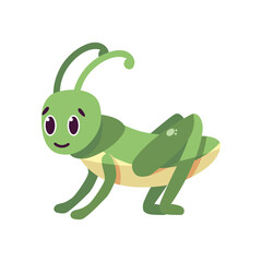 Isolated cartoon of a cricket - Vector illustration