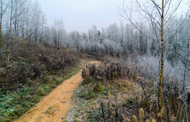 A path in the Park in late autumn. The first frost on the trees.