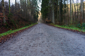 Obraz premium Wald Weg im Herbst