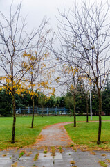 Lonely park road on a rainy day