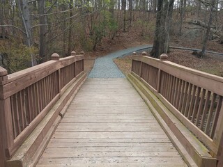 Fototapeta premium wooden bridge in the woods