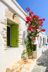 Fototapeta na wymiar A narrow Greek street decorated with bougainvillea flowers in Chora on Folegandros Island. Cyclades