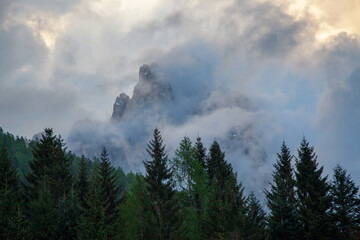 The peaks of the mountains can be seen through thick clouds; in the foreground is a coniferous forest.