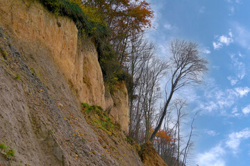 Steep bank Brodtener shore at the Timmendorfer beach, Luebeck