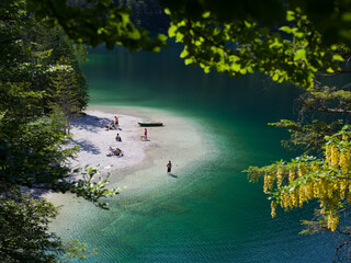 relax al lago alpino