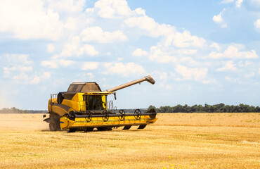 Fototapeta premium combine harvester works on a wheat field at summer day