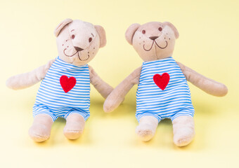 Loving two bear toy with red heart, love concept