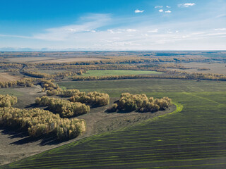 Naklejka premium Aerial view of wide magnificent endless fields cultivated land plowed for sowing with small forests with trees in the background extending beyond the horizon