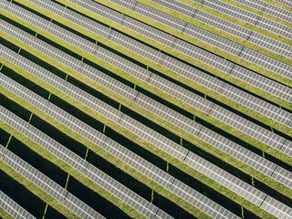 Drone top down view of huge garden fiels and on top solar panels in line row. Renewable energy concept