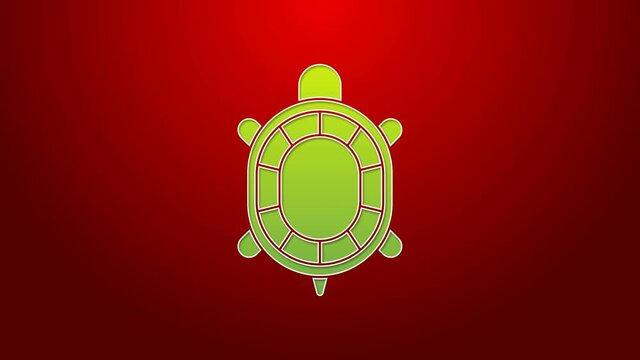 Green line Turtle icon isolated on red background. 4K Video motion graphic animation