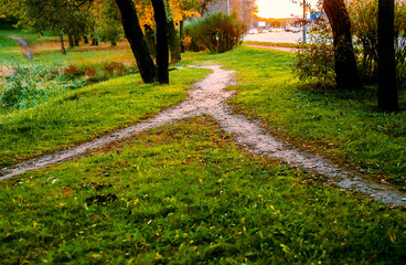 Combining paths. In the Park by the highway, the two little narrow footpath merged into one. Conceptual autumn landscape.