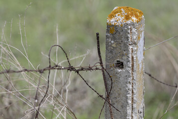 Weathered stone pole covered with lichen and fence with a barbed wire