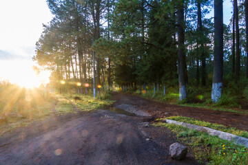 Amanecer en la montaña iztaccihuatl en Puebla, Mexico