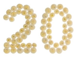 Arabic numeral 20, twenty, from cream flowers of chrysanthemum, isolated on white background