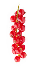 wet red currant berries on white background