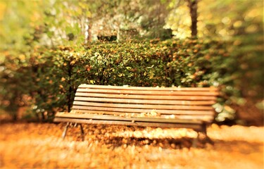 bench in autumn park with red leaves everywhere, dreamy, sunset, vintage