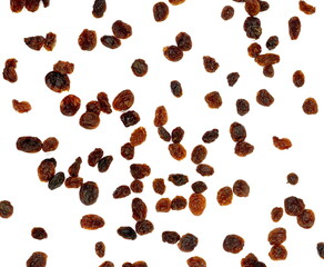 Isolated raisins. Raisins isolated on white background