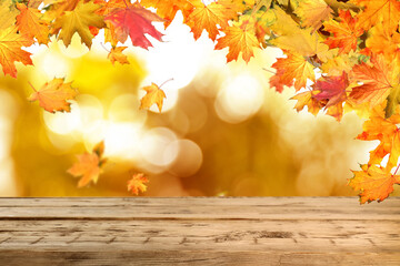Naklejka na ściany i meble Empty wooden surface and beautiful autumn leaves on blurred background