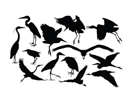 Heron and Stork Bird Silhouettes, art vector design
