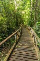 Fototapeta na wymiar Boardwalk in Niah national park on Borneo island, Malaysia