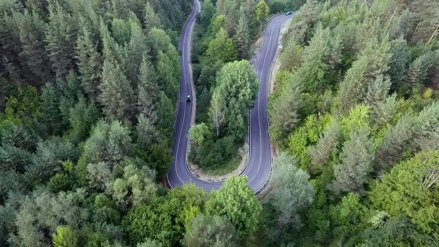 Aerial view of two cars driving on a rounded asphalt road. An environment full of evergreen trees, with different shades of green.