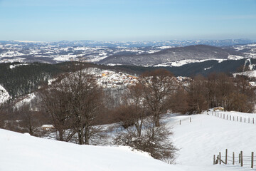 Zlatibor mountain covered with snow and filled with bare trees. Zlatibor pastures covered with snow.