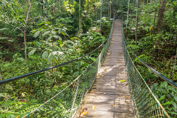 Obraz premium Hanging bridge in Rainforest Discovery Centre in Sepilok, Sabah, Malaysia