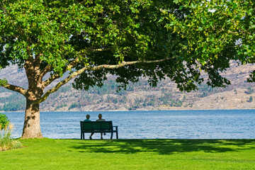 Lovely couple on retirement sitting on a bench under the crown of chestnut tree