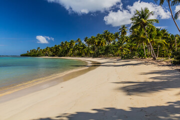 Fototapeta na wymiar Beach in Las Terrenas, Dominican Republic