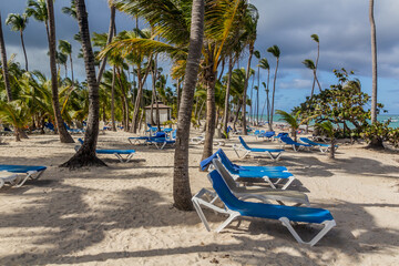 Palms at Bavaro beach, Dominican Republic
