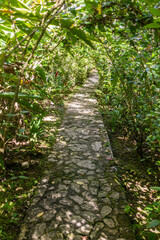 Path in Botanical gardens at the Pico Isabel de Torres mountain above Puerto Plata, Dominican Republic