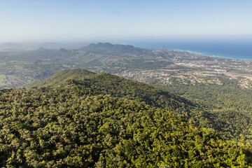 Forest of Isabel De Torres National Park near Puerto Plata, Dominican Republic