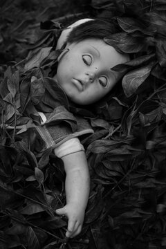 ni&ntilde;a