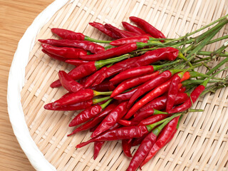 生の唐辛子