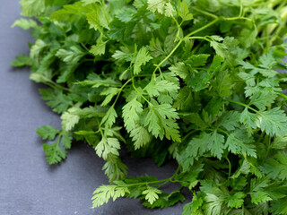 ハーブ　チャービル