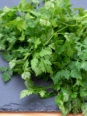 ハーブ　チャービル