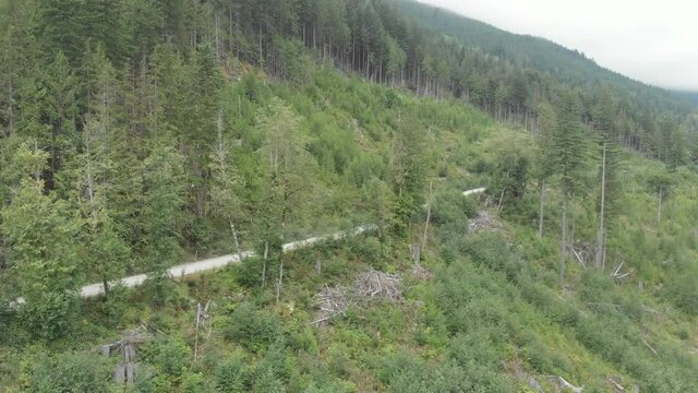 drone shot of a 4x4 on a dirt road on a mountain surrounded by pine trees. British Columbia. Canada