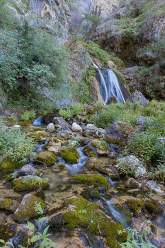 Vertical shot of a waterfall surrounded by rocks and greenery in an animal reserve, Hellin, Spain