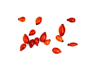 Rosa canina, Rose hips (Rosa canina),close-up isolated on white background