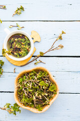 Fototapeta na wymiar Leaf Currant Decoction. Fresh Spring Leaves of Black Currant Herbal Tea. Herbal Medicine. Phytotherapy Medicinal Herbs