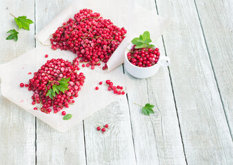Frozen red currants berries and cranberries with mint on shabby wooden table
