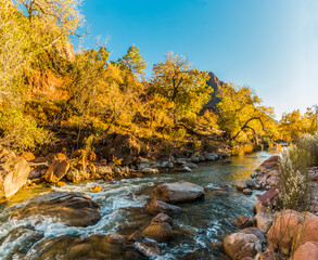 The Watchman and Fall Color Reflected on The Virgin River at Sunset, Zion National Park, Utah, USA