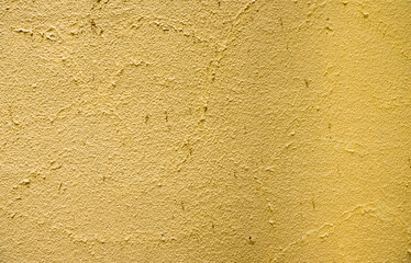 Grungy dirty garden wall eroded by tropic humidity and air pollution. 